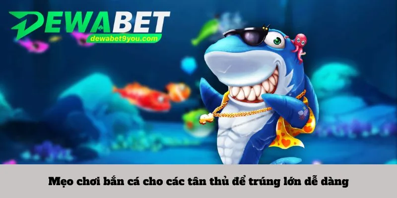 Mẹo chơi bắn cá cho các tân thủ để trúng lớn dễ dàng