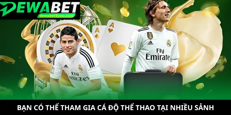 Bạn có thể tham gia cá độ thể thao tại nhiều sảnh
