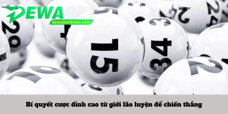 Bí quyết cược đỉnh cao từ giới lão luyện để chiến thắng