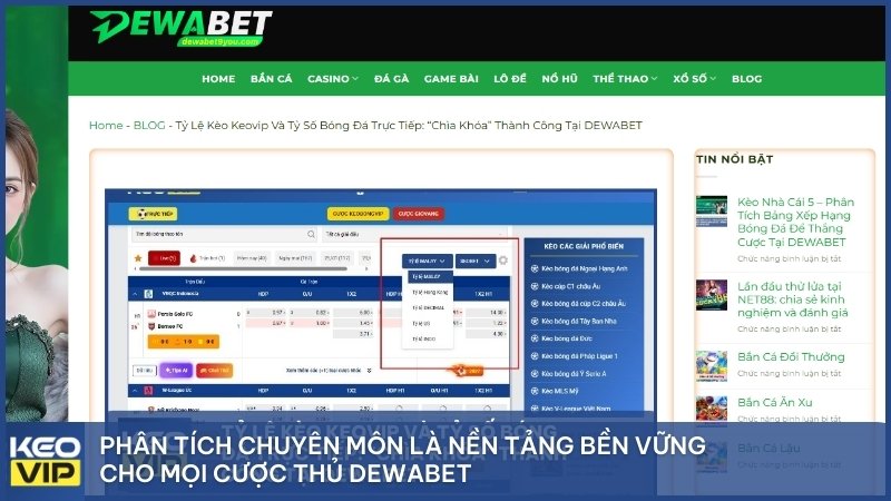 Phân tích chuyên môn là nền tảng bền vững cho mọi cược thủ DEWABET